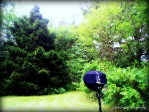 The field recording head in the summer back garden